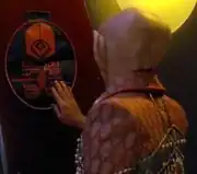 Writ of accountability