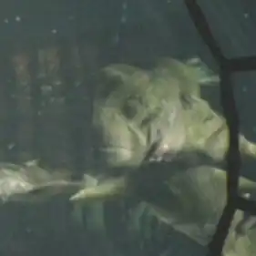 A Xindi-Aquatic male (2153)