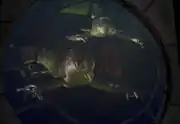 Xindi-Aquatic tank