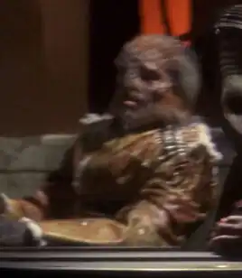 Xindi-Arboreal councilor