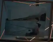 Young Ash Tyler fishing