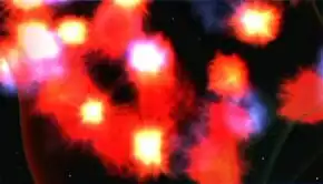 The non-corporeal Zetarians