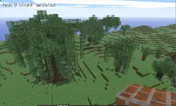 Custom made trees with a texture pack.