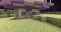 2 shulkers guarding entrance to the End city.