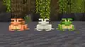 "we have 3 new frogge friends!"