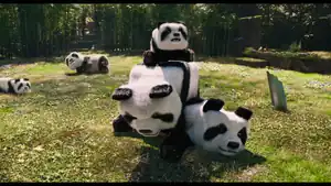 Pandas as seen in A Minecraft Movie.