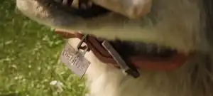 A name tag in A Minecraft Movie.