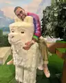"No thoughts, just @prideofgypsies on a blockified llama."