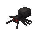 A spider walking