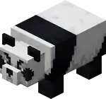 Aggressive Panda.png: Infobox image for Panda the entity in Minecraft