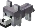 Ashen Baby Wolf JE1.png: Infobox image for Wolf the entity in Minecraft