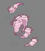 School of axolotls.