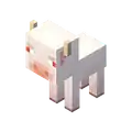 The unused baby albino cow inventory icon.