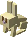 Baby Gold Rabbit.png: Infobox image for Rabbit the entity in Minecraft