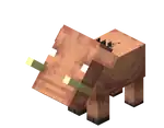 Baby Hoglin BE3.png: Infobox image for Hoglin the entity in Minecraft
