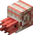 Baby nautilus back side in Bedrock Edition