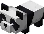 Baby Panda JE1.png: Infobox image for Panda the entity in Minecraft