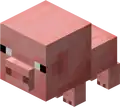 Baby Pig.png: Infobox image for Pig the entity in Minecraft