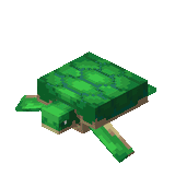 Baby Turtle Idle (Dungeons).gif: Infobox image for Baby Turtle the dungeons entity in Minecraft