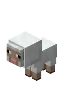 Baby White Sheep.png: Infobox image for Sheep the entity in Minecraft