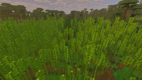 Bamboo Jungle Vibrant Visuals.png: Infobox image for Bamboo Jungle the biome in Minecraft