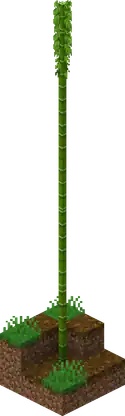 Bamboo generated.png: Infobox image for Bamboo the structure in Minecraft