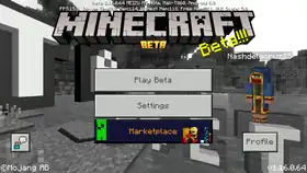 Bedrock 1.16.0.64.png: Infobox image for beta 1.16.0.64 the version in Minecraft