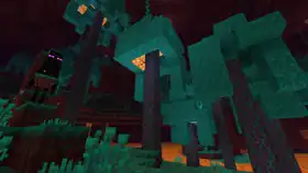 Bedrock 1.16.210 PatchNotes.png: Infobox image for v1.16.210 the version in Minecraft