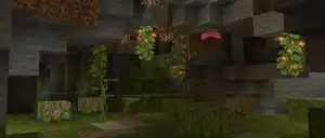 A view of the lush caves.