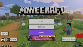 Bedrock 1.21.111.png: Infobox image for v1.21.111 the version in Minecraft