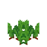 Beetroots Age 2 BE.png: Infobox image for Beetroot Seeds the block in Minecraft