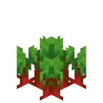 Beetroots Age 3 BE.png: Infobox image for Beetroot Seeds the block in Minecraft
