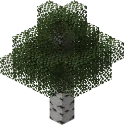 Birch Tree.png: Infobox image for Tree the structure in Minecraft