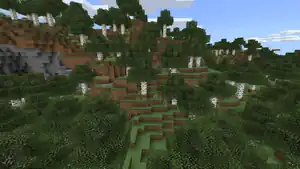 Birch Forest Hills.png: Infobox image for Birch Forest Hills the biome in Minecraft