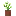 BlockSprite potted-azure-bluet.png: Sprite image for potted-azure-bluet in Minecraft