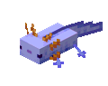 Blue Axolotl Idle Floor Underwater.gif: Infobox image for Axolotl the entity in Minecraft