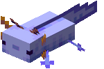 Blue Axolotl.gif: Infobox image for Pet Axolotl the entity in Minecraft