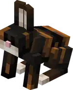 Bold Striped Rabbit.png: Infobox image for Bold Striped Rabbit the entity in Minecraft
