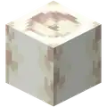 Bone block