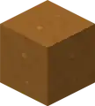 Brown Mushroom Block