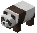 Brown Panda (Dungeons).png: Infobox image for Panda the dungeons entity in Minecraft