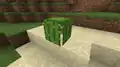 Cacti incorrectly render as full blocks, with gaps at the edges