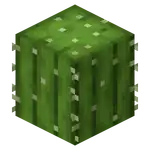 Cactus BE.png: Infobox image for Cactus the block in Minecraft