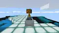 A camera in a minecart.