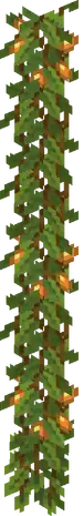 Cave vines.png: Infobox image for Cave Vines the structure in Minecraft