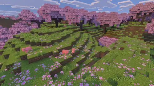 Cherry Grove Vibrant Visuals.png: Infobox image for Cherry Grove the biome in Minecraft