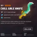 The chill gale knife within the inventory.