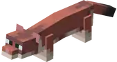 Cinnamon Ferret.png: Infobox image for Cinnamon Ferret the dungeons entity in Minecraft