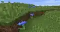 Cornflowers in a plains biome.