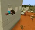 Steve crawling out of a window in a desert village.